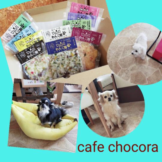 cafe chocora