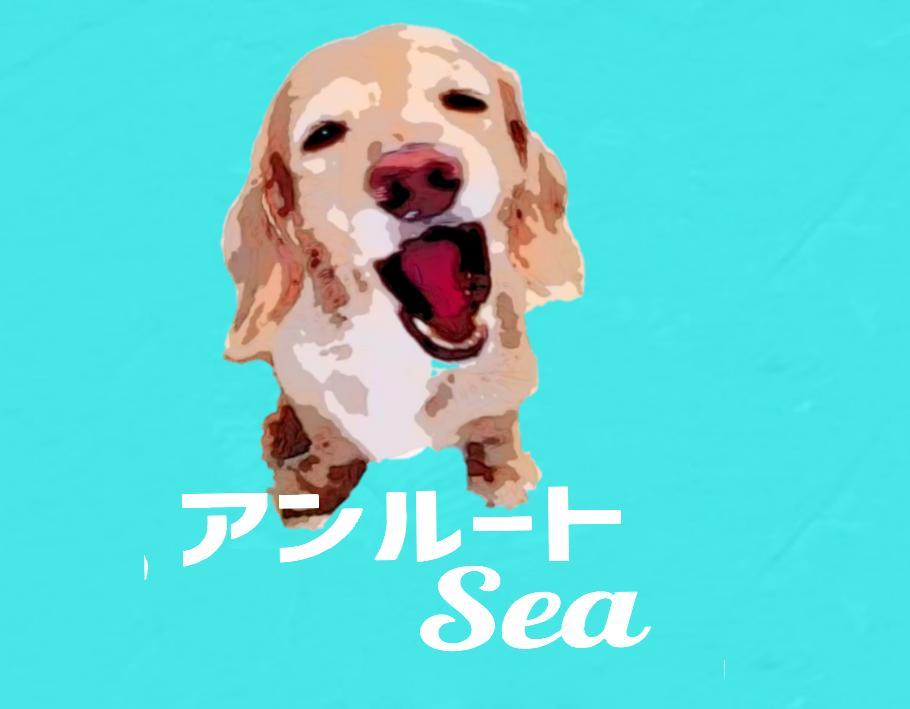 アンルートSea