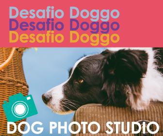 Desafio Doggo Photo